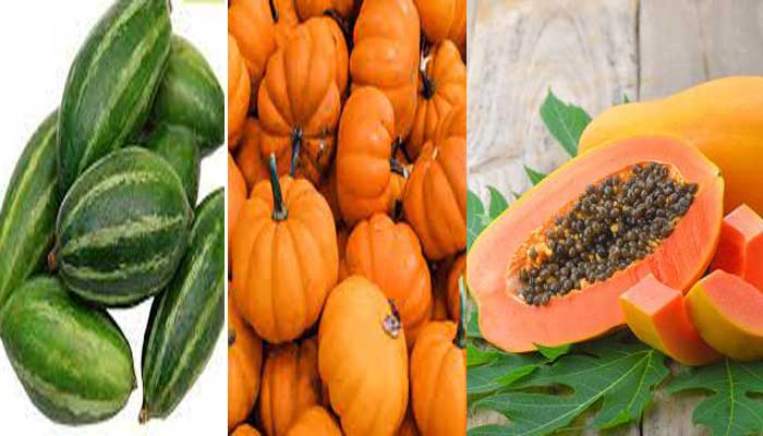 Gut Health Powerhouse Foods: Papaya, Pumpkin, and Parwal