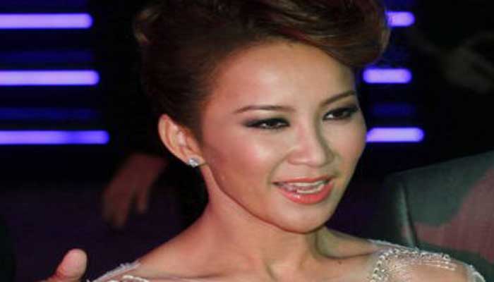 Coco Lee Career Tracing: Exploring Her Early Life, Education, and Birthplace