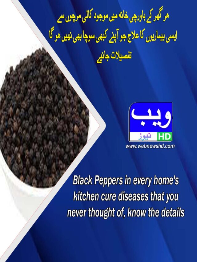 Black Peppers icure diseases that you never thought